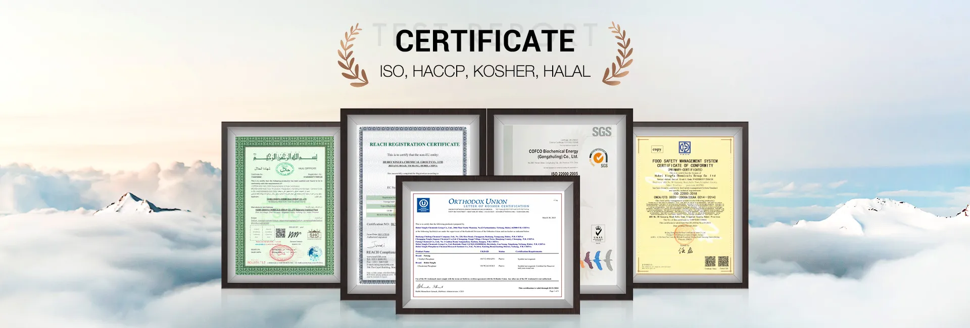 Hombo Certificate
